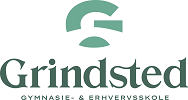 Erhvervsgymnasiet Grindsted